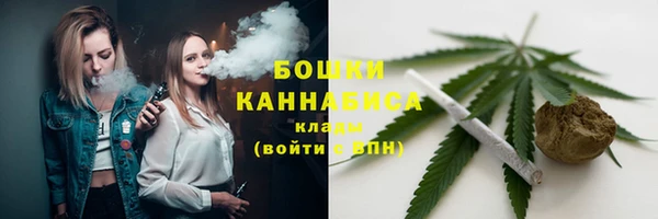 хмурый Верея