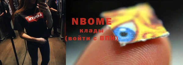 хмурый Верея