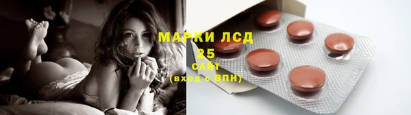 хмурый Верея