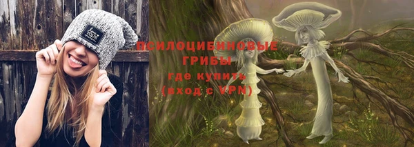 хмурый Верея