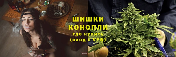 сатива Верхний Тагил