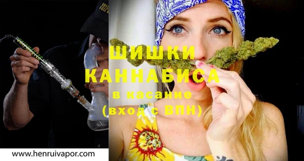хмурый Верея