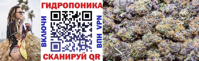 даркнет сайт  Кингисепп  Бошки марихуана марихуана 